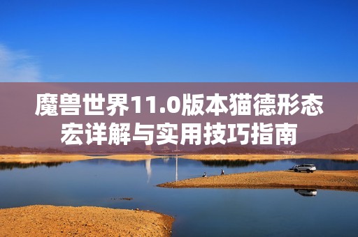 魔兽世界11.0版本猫德形态宏详解与实用技巧指南