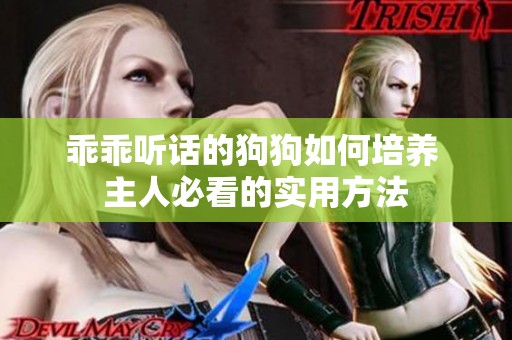 乖乖听话的狗狗如何培养 主人必看的实用方法