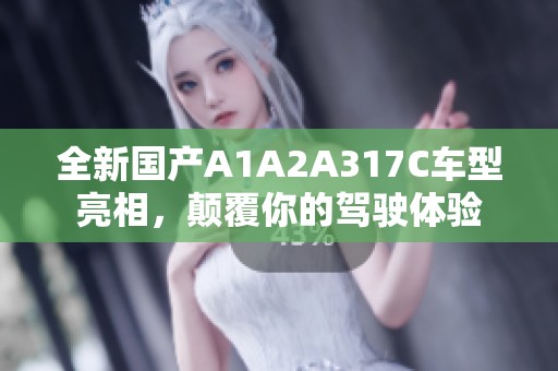 全新国产A1A2A317C车型亮相，颠覆你的驾驶体验