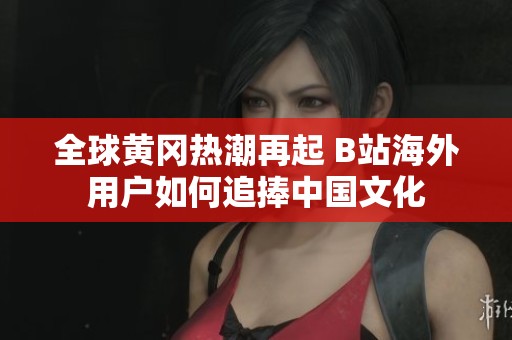 全球黄冈热潮再起 B站海外用户如何追捧中国文化