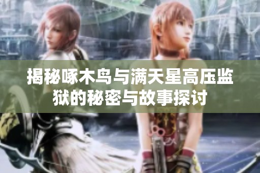 揭秘啄木鸟与满天星高压监狱的秘密与故事探讨