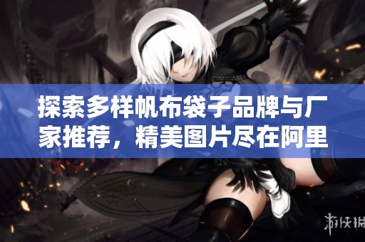 探索多样帆布袋子品牌与厂家推荐，精美图片尽在阿里巴巴