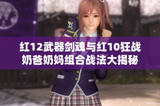 红12武器剑魂与红10狂战奶爸奶妈组合战法大揭秘