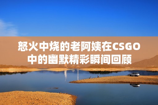 怒火中烧的老阿姨在CSGO中的幽默精彩瞬间回顾
