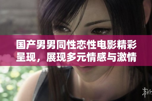 国产男男同性恋性电影精彩呈现，展现多元情感与激情瞬间