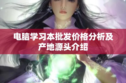 电脑学习本批发价格分析及产地源头介绍