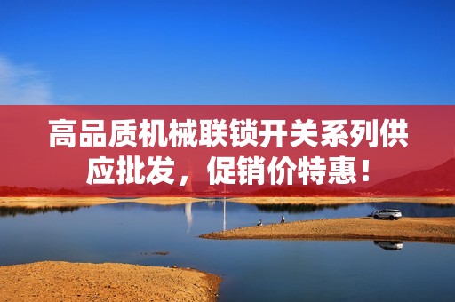 高品质机械联锁开关系列供应批发，促销价特惠！