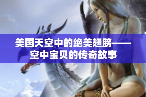 美国天空中的绝美翅膀——空中宝贝的传奇故事