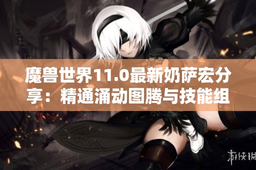 魔兽世界11.0最新奶萨宏分享：精通涌动图腾与技能组合的攻略