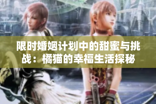 限时婚姻计划中的甜蜜与挑战：橘猫的幸福生活探秘