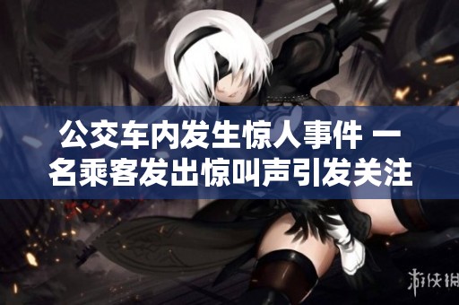 公交车内发生惊人事件 一名乘客发出惊叫声引发关注