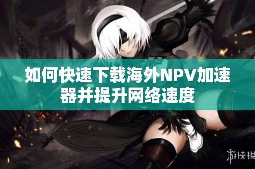 如何快速下载海外NPV加速器并提升网络速度
