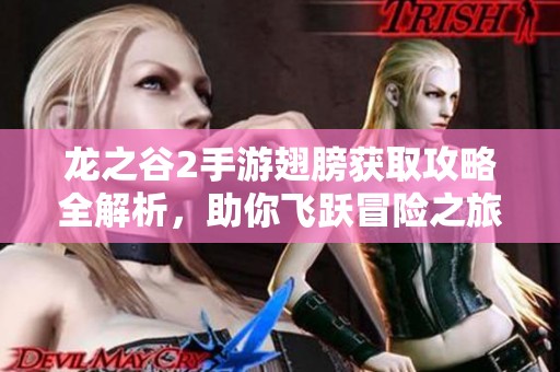 龙之谷2手游翅膀获取攻略全解析，助你飞跃冒险之旅