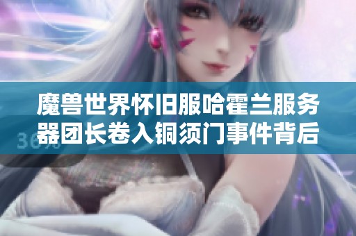 魔兽世界怀旧服哈霍兰服务器团长卷入铜须门事件背后真相揭秘