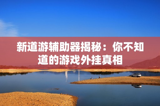 新道游辅助器揭秘：你不知道的游戏外挂真相