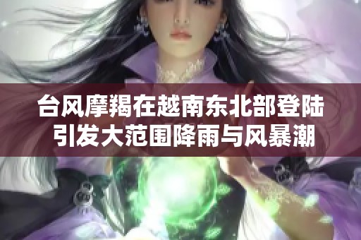 台风摩羯在越南东北部登陆 引发大范围降雨与风暴潮