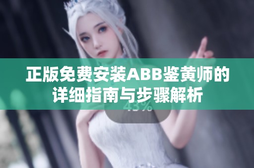正版免费安装ABB鉴黄师的详细指南与步骤解析