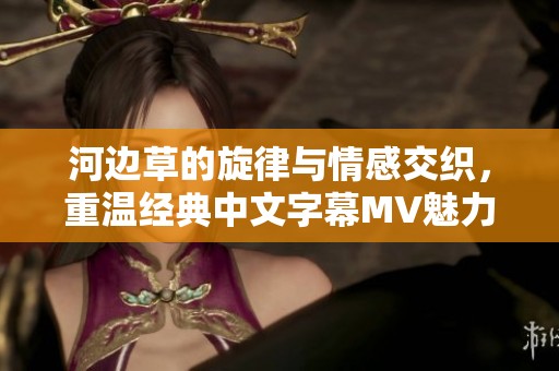 河边草的旋律与情感交织，重温经典中文字幕MV魅力