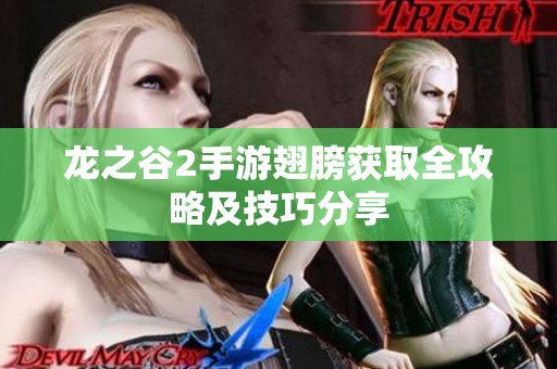 龙之谷2手游翅膀获取全攻略及技巧分享