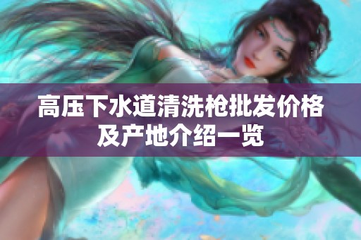 高压下水道清洗枪批发价格及产地介绍一览