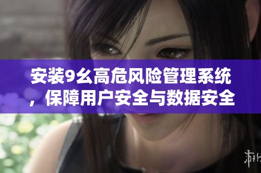 安装9幺高危风险管理系统，保障用户安全与数据安全