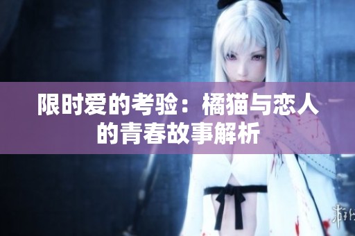 限时爱的考验：橘猫与恋人的青春故事解析