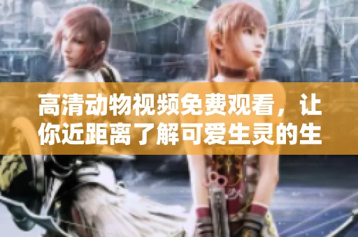高清动物视频免费观看，让你近距离了解可爱生灵的生活