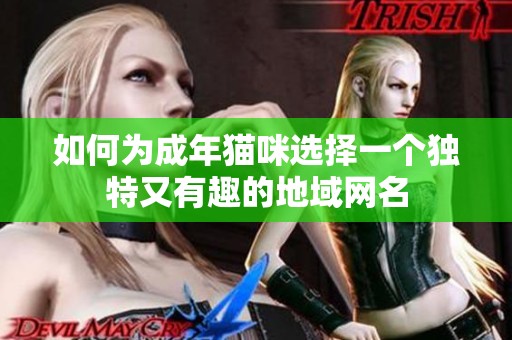 如何为成年猫咪选择一个独特又有趣的地域网名