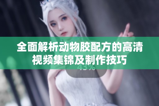 全面解析动物胶配方的高清视频集锦及制作技巧