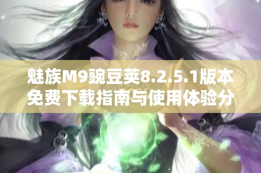魅族M9豌豆荚8.2.5.1版本免费下载指南与使用体验分享