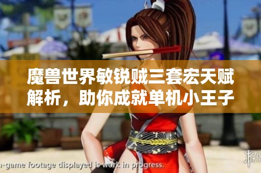 魔兽世界敏锐贼三套宏天赋解析，助你成就单机小王子梦想