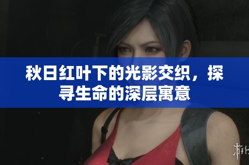 秋日红叶下的光影交织，探寻生命的深层寓意