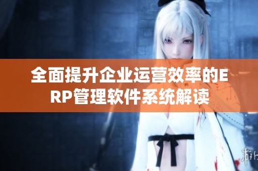 全面提升企业运营效率的ERP管理软件系统解读