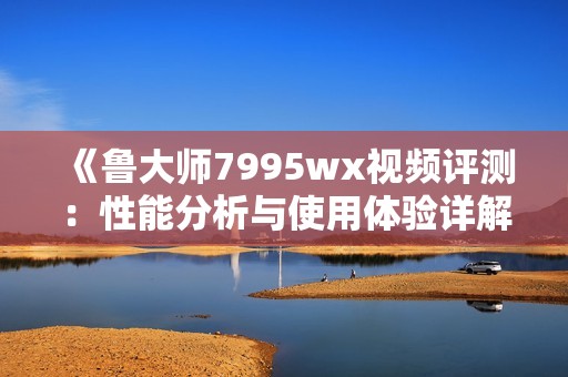 《鲁大师7995wx视频评测：性能分析与使用体验详解》