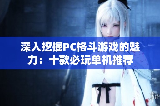 深入挖掘PC格斗游戏的魅力：十款必玩单机推荐
