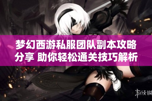 梦幻西游私服团队副本攻略分享 助你轻松通关技巧解析