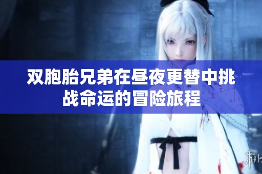 双胞胎兄弟在昼夜更替中挑战命运的冒险旅程