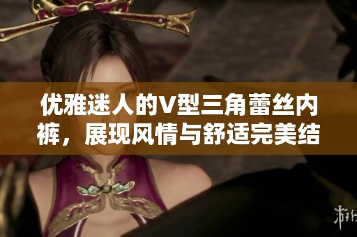 优雅迷人的V型三角蕾丝内裤，展现风情与舒适完美结合
