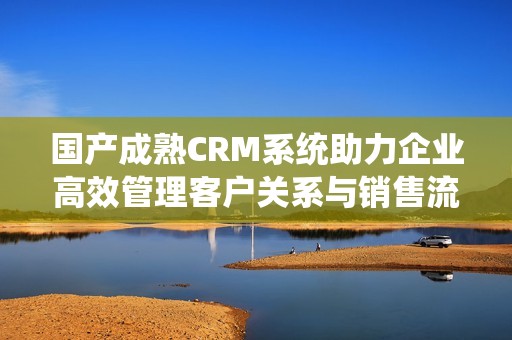 国产成熟CRM系统助力企业高效管理客户关系与销售流程