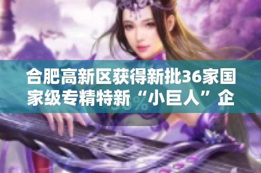 合肥高新区获得新批36家国家级专精特新“小巨人”企业名额