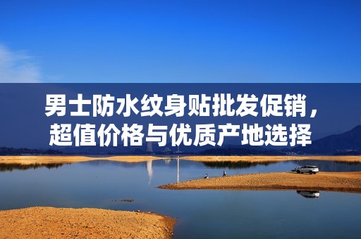 男士防水纹身贴批发促销，超值价格与优质产地选择