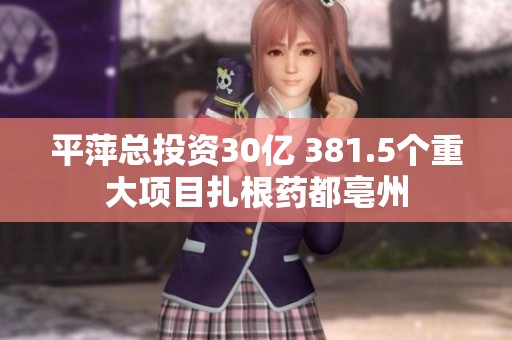 平萍总投资30亿 381.5个重大项目扎根药都亳州