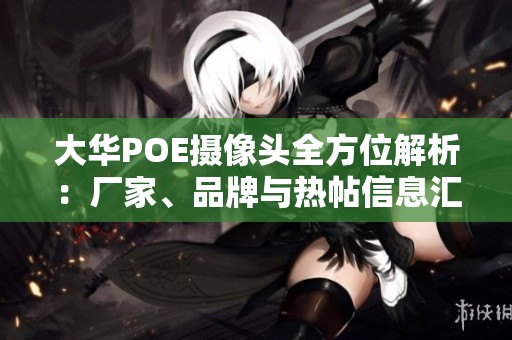 大华POE摄像头全方位解析：厂家、品牌与热帖信息汇总