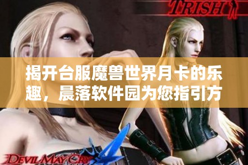 揭开台服魔兽世界月卡的乐趣，晨落软件园为您指引方向
