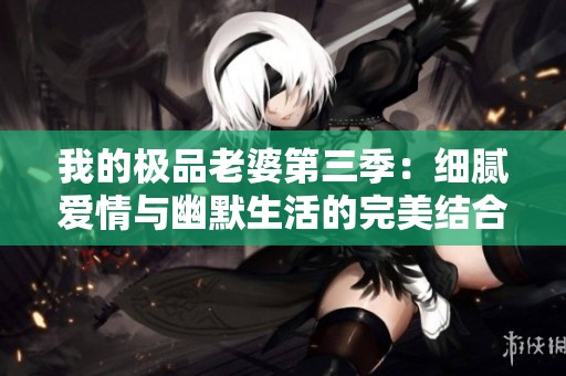 我的极品老婆第三季：细腻爱情与幽默生活的完美结合