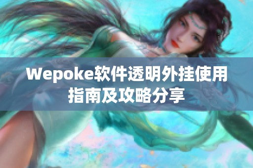 Wepoke软件透明外挂使用指南及攻略分享