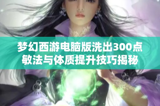 梦幻西游电脑版洗出300点敏法与体质提升技巧揭秘
