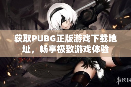 获取PUBG正版游戏下载地址，畅享极致游戏体验