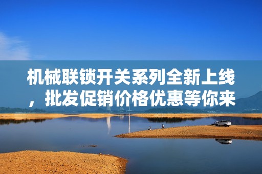 机械联锁开关系列全新上线，批发促销价格优惠等你来选购