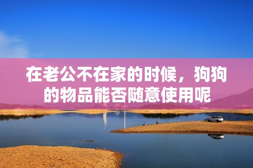 在老公不在家的时候，狗狗的物品能否随意使用呢